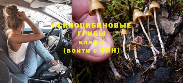 трава Алексеевка
